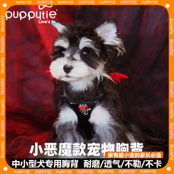 Puppytie dog leash vest-style harness adjustable easy-to-clean leather little devil fashion wings dog walking leash little devil - harness m size - recommended 15-28 pounds