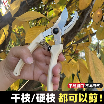 Maiyue pruning shears, fruit tree scissors, gardening manual pruning branches, garden labor-saving pruning flower branches, household manual farm tools, 7-inch white stainless steel (sk5 steel)