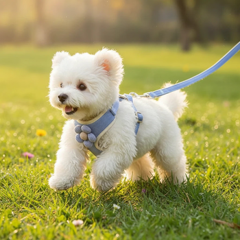 Dog leash vest style small dog bichon harness teddy puppy puppy walking rope dog chain supplies blue five-petal flower single harness + rope length 1.2 meters m recommended within 7-14 pounds