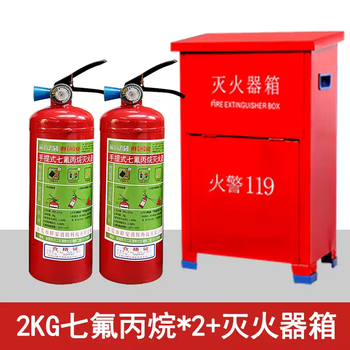 Portable heptafluoropropane fire extinguisher 1/2/3/4kg6/8kg experimental machine room clean gas fire extinguishing device 2kg portable heptafluoropropane*2+box