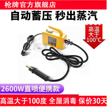 Gun brand high temperature and high pressure steam cleaner household appliance disinfection air conditioning kitchen range hood water heater degreasing multifunctional commercial home appliance cleaning machine 2600w home portable direct injection model