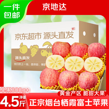 Jingdida yantai qixia red fuji apple net weight 4.5kg extra large fruit 300g jingdong self-operated direct shipping from the source