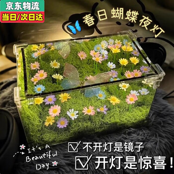 Patanlp butterfly night light the wizard of oz spring butterfly cube night light diy handmade atmosphere light material package spring butterfly night light-material package 12*12*24 (butterflies do not move)