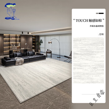 High-end master bedroom carpet, bedroom under bed bedside carpet carpet, living room no-wash and wipeable 2025 young luxury high-care no-maintenance printing-cangtong 300cm*400cm