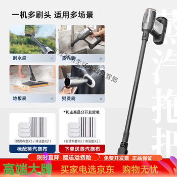 Dongling new product dongling steam mop multifunctional steam cleaner high temperature and high pressure household handheld cleaner standard version + cleaning set