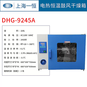 Yusenyi shanghai yiheng dhg-9070a9075a9140a9145a9240a electric heating constant temperature blast drying dhg9245a 220lx300