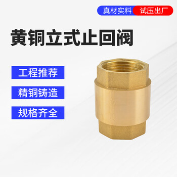 Weigusi brass vertical check valve thickened double inner wire check valve pipeline water meter spring check valve unit pcs brass vertical check valve dn15