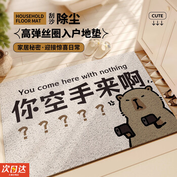 Oskv, you come empty-handed. floor mat, silk circle, door mat, outdoor door, entrance door, door mat. entry carpet can be cut. you come empty-handed, one - 40*60cm (silk circle).