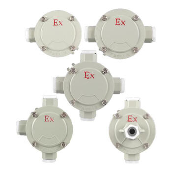 Explosion-proof junction box dn20 explosion-proof threading box one-two-way explosion-proof junction box explosion-proof threading box 1/2 junction box explosion-proof box regular style 304 stainless steel explosion-proof lock mother