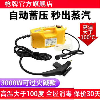 Gun brand high temperature and high pressure steam cleaner household appliance disinfection air conditioning kitchen range hood water heater degreasing multifunctional commercial home appliance cleaning machine 3000w household advanced controllable model