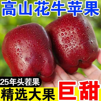 Gansu tianshui huaniu apple noodles with sweet sand for the elderly, infants and pregnant women fresh seasonal snake red fruit wholesale box net weight 4.3 jin medium fruit (10-13 pieces) noodles with sand sweet huaniu