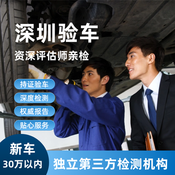 Shenzhen car inspection, new car inspection, used car inspection and inspection service report interpretation, new car inspection (within 300,000)