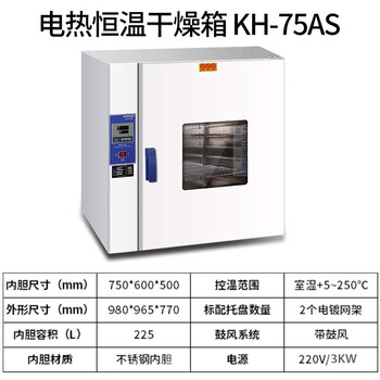 Rennan kangheng industrial oven electric heating constant temperature blast drying drying oven laboratory small oven industrial car headlight kh-75as digital display stainless steel inner tank with blast