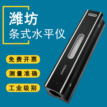 Shandong weifang strip frame high-precision bed fitter measuring instrument 150200250300 strip level 200*0:02