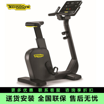Technogym home live300 vertical magnetically controlled exercise bike silent bicycle imported from italy