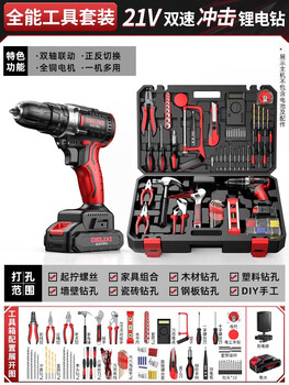 Delixi electric drill rechargeable lithium electric screwdriver multi-function pistol impact drill household tool box set all-purpose tool set + 21v double-speed impact drill