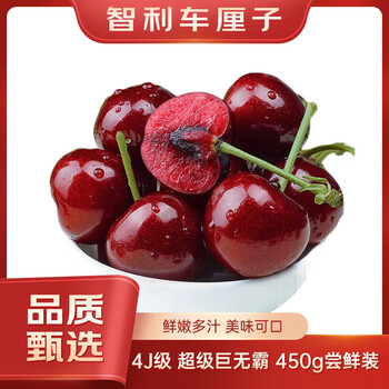 Fun to try chilean cherries 4j grade fruit diameter about 32-34mm 450g package fresh fruit