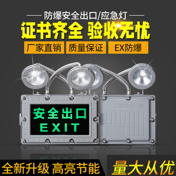 Shanghai feice explosion-proof double-head emergency light two-in-one safety exit evacuation sign indicator light fire passage le double-head explosion-proof emergency light