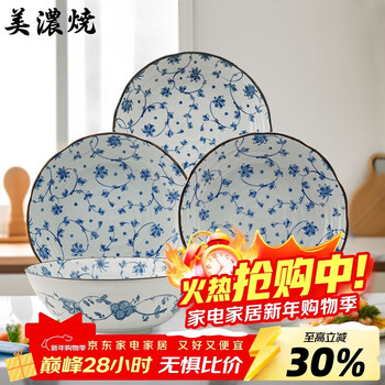 Minoware imported from japan underglaze colored ceramic bowls and plates 6-piece tableware set
