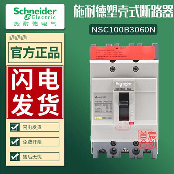 Schneider molded case circuit breaker nsc100b 3100n circuit breaker 3060n 3050n 3080n 20-100a 160a 3p