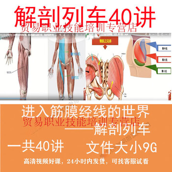 Fascia world anatomy train 40 episodes of video course materials functional dissection of the fascial chain detailed explanation video course customized u disk/hard drive delivery