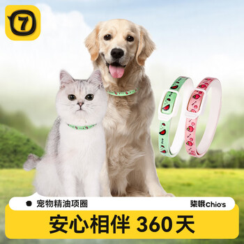 Qioh cat collar cat collar dog collar pet supplies new upgrade - green small suitable for 0-8 catties