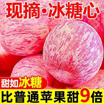 West shaanxi yan'an luochuan red fuji 10 catties packed apple fresh fruit crisp sweet seasonal fruit seasonal fresh fruit with box 3 catties large fruit