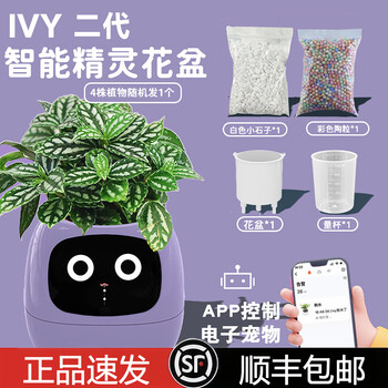 Ivy smart flower pot second generation emotional green plant robot desktop electronic pet ornaments men and women birthday gifts second generation purple + free plants
