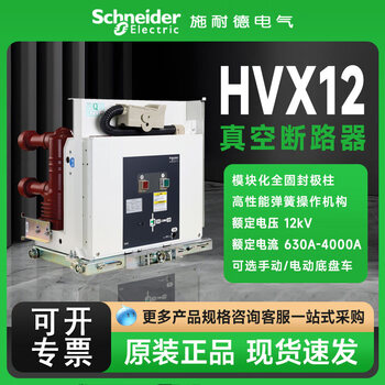 Schneider high voltage vacuum circuit breaker-25/31-06/12/16/20/25/31/40-f/e hvx12-31-40-e(4000a_31.5k