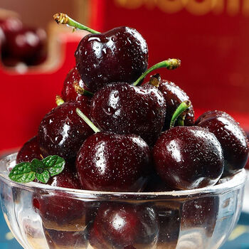 Intelligent cherry sf express jd express imported cherry christmas gift box santina fresh half price fruit 5kg (net weight) original box jj