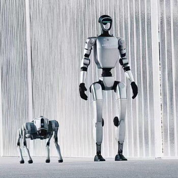 Yushu intelligent humanoid biped g1 robot performs walking and dancing spring festival gala same style dancing robot dog welcome robot robot dog rental for 1 day