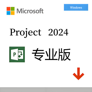 Project management project2024 flow chart visio2024 bound account account key activation code software project2024 professional version bound account
