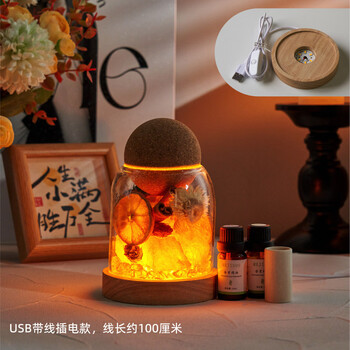 Shantou lincun cinnamon fortune bottle nordic style ornament ld lamp wooden base home decoration atmosphere lighting display gardenia rechargeable model_large bottle-bottle of essential oil_70% brightness can be bright