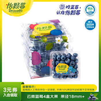Driscoll s yunnan blueberry jumbo large fruit 18mm+ 4 boxes about 125g/box fresh fruit