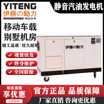 Danstini imported self-starting fully automatic silent gasoline generator 10 15 20 25 30kw single-phase 220v three-phase 380v 15kw gasoline generator yt15rse