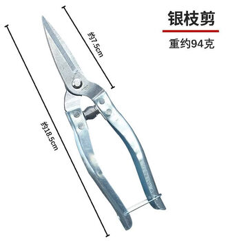 Seasoon yimeng gardening pruning scissors pruning scissors stainless steel fruit trees garden branches bonsai pruning shape special scissors silver extended stainless steel fruit scissors