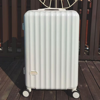 Ye yu suitcase female large capacity korean version student sturdy small fresh universal wheel pull rod password travel suitcase male 313# grain white 20 inches (can board the plane)