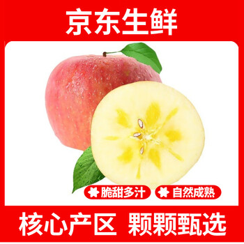 Territory caihong authentic xinjiang aksu apple fruit seasonal rock candy apple red fuji fruit fresh whole box selected 18-20 baby fruits single fruit approximately 95g+