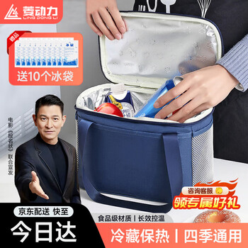 Lingdongli insulated box camping outdoor insulated lunch box bag ice bag refrigerated bag breast milk storage back milk protection medicine cold pack