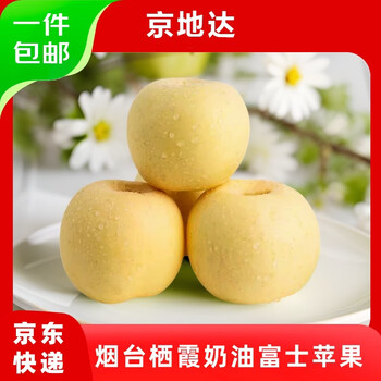 Jingdida shandong yantai qixia cream fuji apple net weight 4.5 jin single fruit approximately 202g yantai apple straight from the source