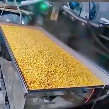 Yonghuan xinshunhao large, medium and small stall drying bed grain mixing and cooking integrated steaming bed brewing equipment 100 catties stall drying bed