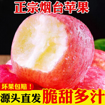 Qin yue fairy fruit fresh shandong yantai red fuji apple fresh fruit qixia crisp sweet whole box gift box new year's day net weight 8.5 jin 80-90mm family pack