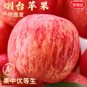 Jingdida shandong yantai apple net weight 5kg single fruit 85mm red fuji apple fruit fresh source direct shipping free shipping