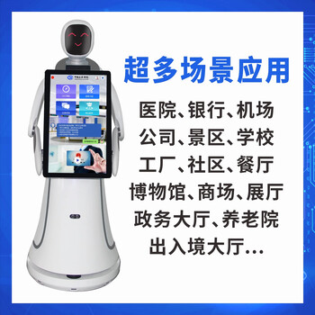 Government affairs hall school hospital museum large screen reception robot