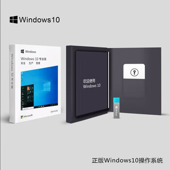 Genuine windows11 professional version original pure reinstallation 10 family simplified chinese pro apple mac notebook dual system m2 chip u disk remote win10 professional version - simplified chinese usb (can activate one)