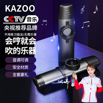 Romusic kazoo professional performance new double-headed metal guitar ukulele beginner easy to learn instrument silver