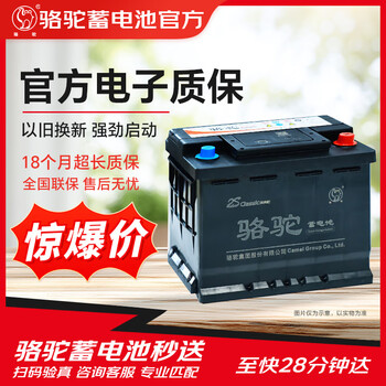 Camel car battery classic 6-qw-65min (370) n45 trade-in
