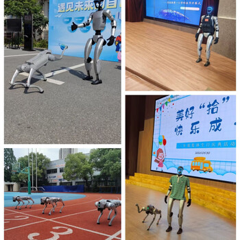 Yushu humanoid robot g1 nationwide rental intelligent ai dialogue robot industrial scientific research artificial intelligence voice version rental spring festival gala dance performance commercial activities to attract traffic voice version g1 rental