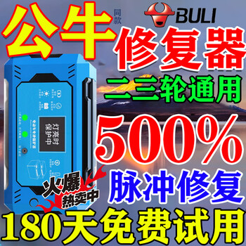 Battery repairer fully automatic intelligent pulse repair genuine universal pulse repairer for second and third wheel electric vehicles 2026 upgraded imported chip high power + automatic power off