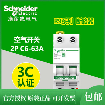 Schneider circuit breaker resi9 series r9 small circuit breaker air switch 2p c6-c63a 63a 2p